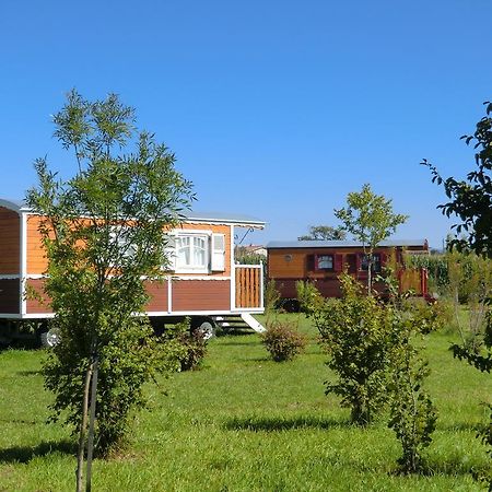 Les Roulottes-Gites De La Ferme De L'Autruche Dromoise Livron-sur-Drome Exterior photo