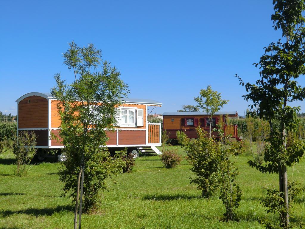 Les Roulottes-Gites De La Ferme De L'Autruche Dromoise Livron-sur-Drome Exterior photo